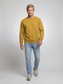 Ochre