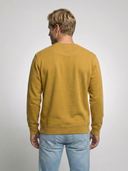 Ochre